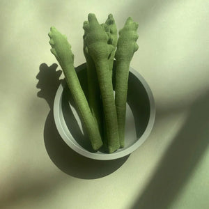 Linen Toy ASPARAGUS (1 piece)