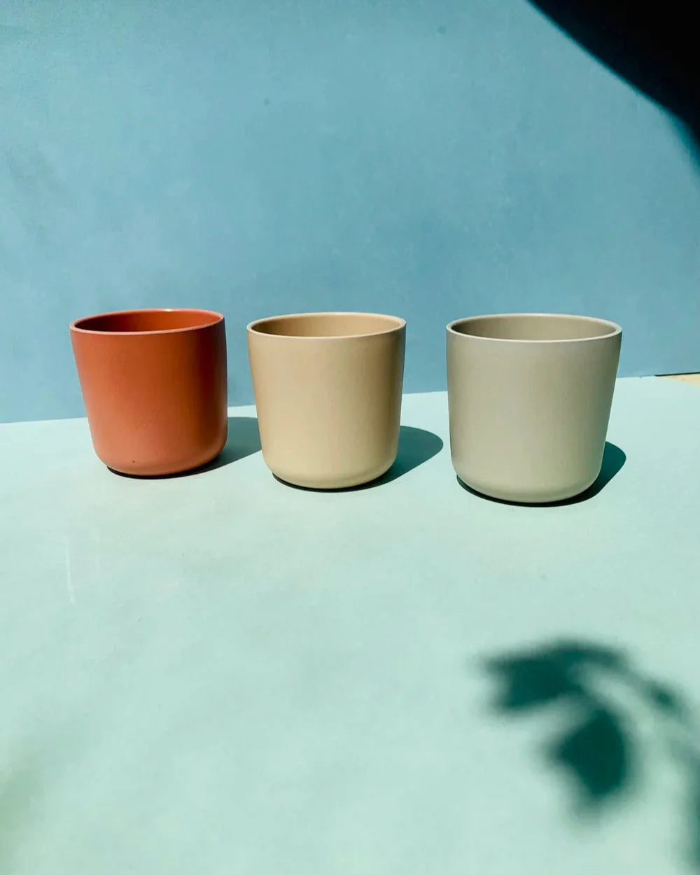 Pack of 3 Bamboo Cups (available in 2 colors)