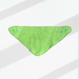 Bandana Bib de cotton terry mint