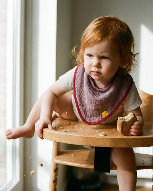 Bandana Bib CAMELIA muslin mauve